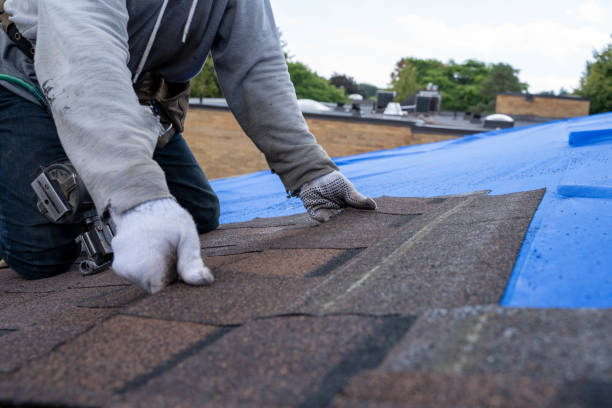 Best Roof Insulation Installation  in Rice, MN