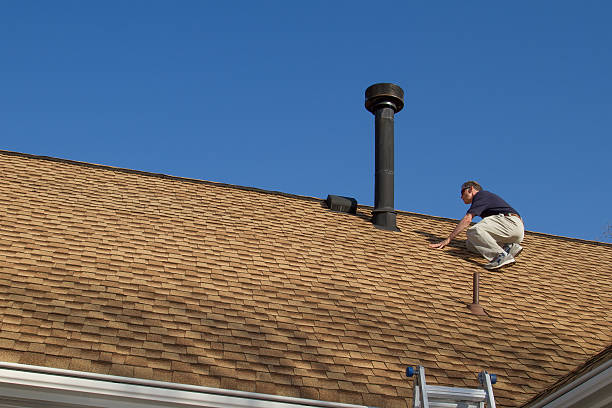 Best Roof Leak Repair  in Rice, MN